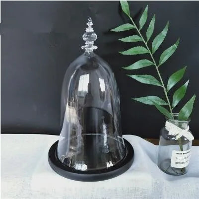 10*15cm Small Size Higher Top Glass Dome Vase Home Decoration Little-Prince Transparent Cover Friend Gift Wedding Prop
