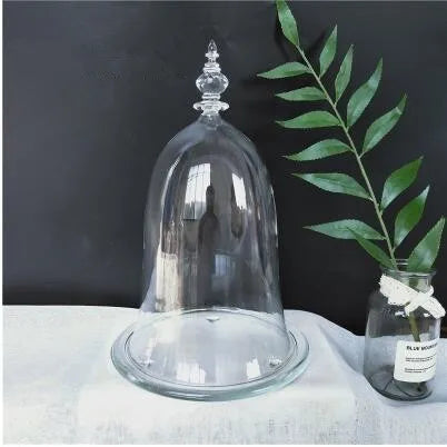 10*15cm Small Size Higher Top Glass Dome Vase Home Decoration Little-Prince Transparent Cover Friend Gift Wedding Prop