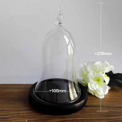10*15cm Small Size Higher Top Glass Dome Vase Home Decoration Little-Prince Transparent Cover Friend Gift Wedding Prop