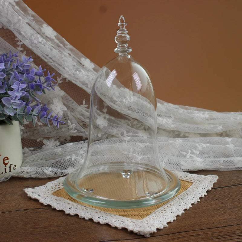 10*15cm Small Size Higher Top Glass Dome Vase Home Decoration Little-Prince Transparent Cover Friend Gift Wedding Prop