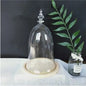 10*15cm Small Size Higher Top Glass Dome Vase Home Decoration Little-Prince Transparent Cover Friend Gift Wedding Prop