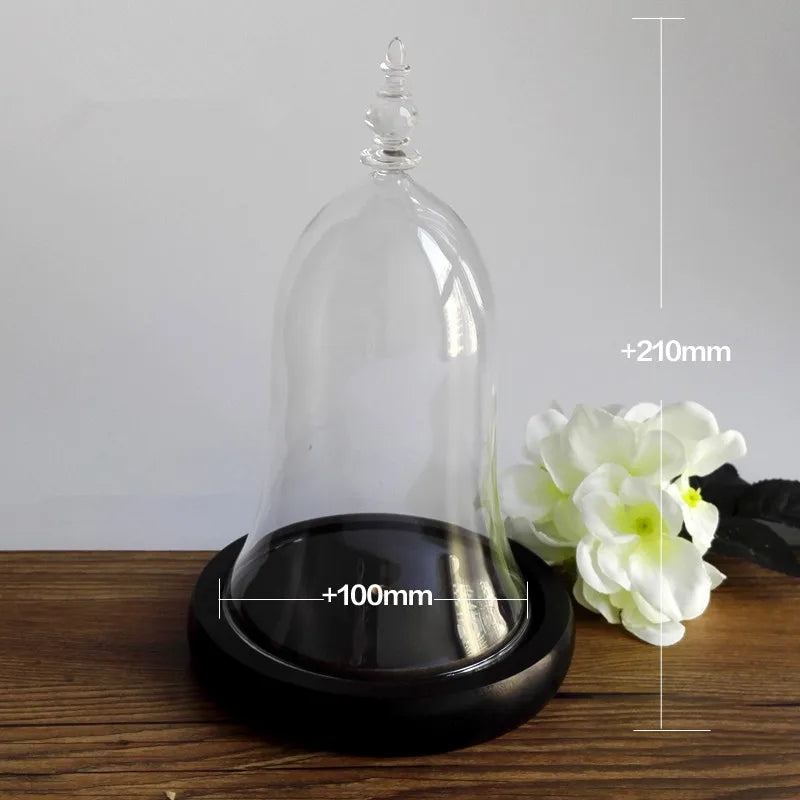 10*15cm Small Size Higher Top Glass Dome Vase Home Decoration Little-Prince Transparent Cover Friend Gift Wedding Prop