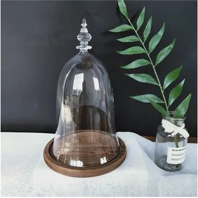 10*15cm Small Size Higher Top Glass Dome Vase Home Decoration Little-Prince Transparent Cover Friend Gift Wedding Prop