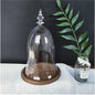 10*15cm Small Size Higher Top Glass Dome Vase Home Decoration Little-Prince Transparent Cover Friend Gift Wedding Prop
