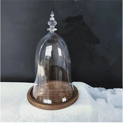 10*15cm Small Size Higher Top Glass Dome Vase Home Decoration Little-Prince Transparent Cover Friend Gift Wedding Prop
