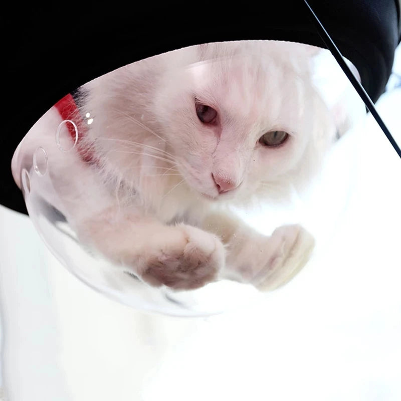 Creative Cat Hammock Warm Soft Sleeping Bed Space Capsule Suction Cup Hanging Cat Sunbathing Window Sill Bed Pet Supplies