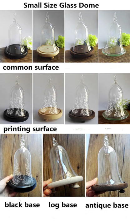 10*15cm Small Size Higher Top Glass Dome Vase Home Decoration Little-Prince Transparent Cover Friend Gift Wedding Prop