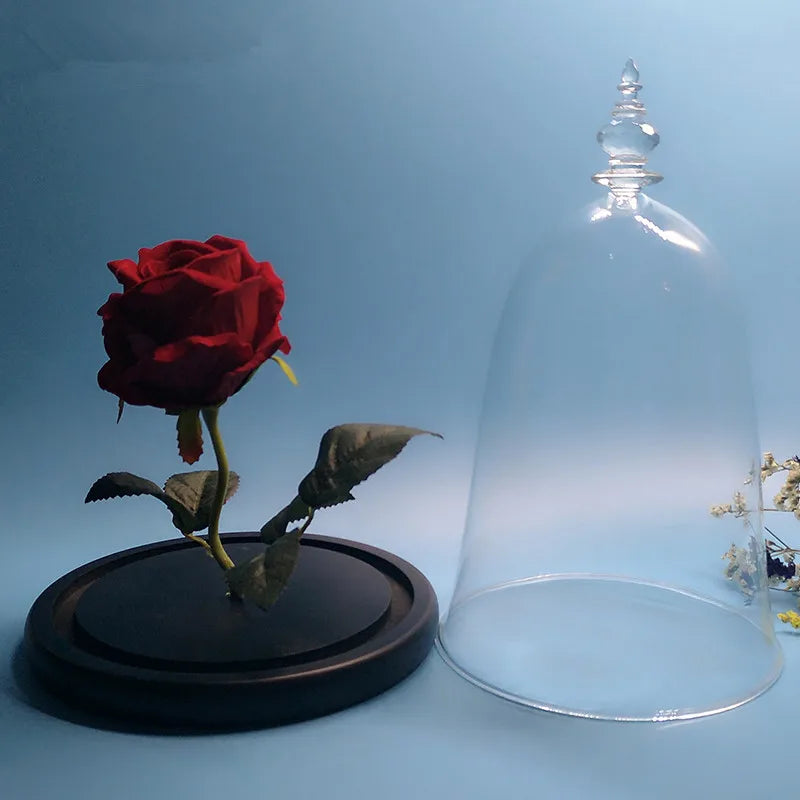 10*15cm Small Size Higher Top Glass Dome Vase Home Decoration Little-Prince Transparent Cover Friend Gift Wedding Prop