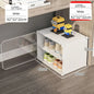 Shoe Rack Storage Cabinet Simple Household Small Entrance Modern Dormitory Home Furniture Living Room Shoes Organizer Cupboards