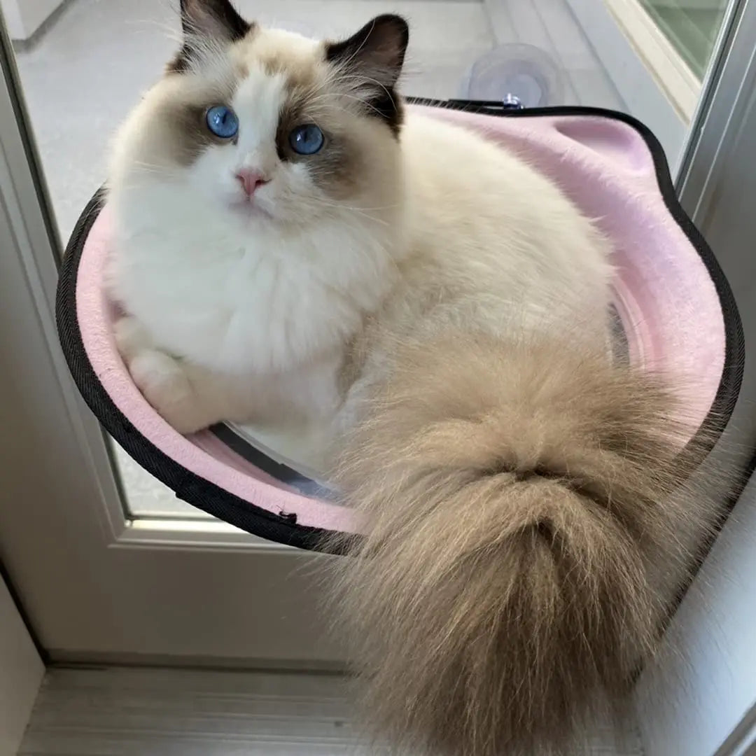 Creative Cat Hammock Warm Soft Sleeping Bed Space Capsule Suction Cup Hanging Cat Sunbathing Window Sill Bed Pet Supplies
