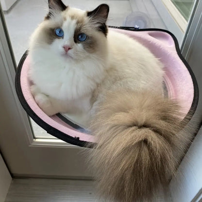 Creative Cat Hammock Warm Soft Sleeping Bed Space Capsule Suction Cup Hanging Cat Sunbathing Window Sill Bed Pet Supplies