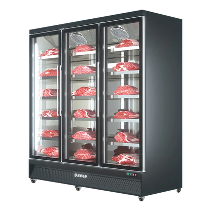 Plus freezer display cabinet, commercial meat beef cabinet, glass ice cream, standing freezer, beverage refrigerator