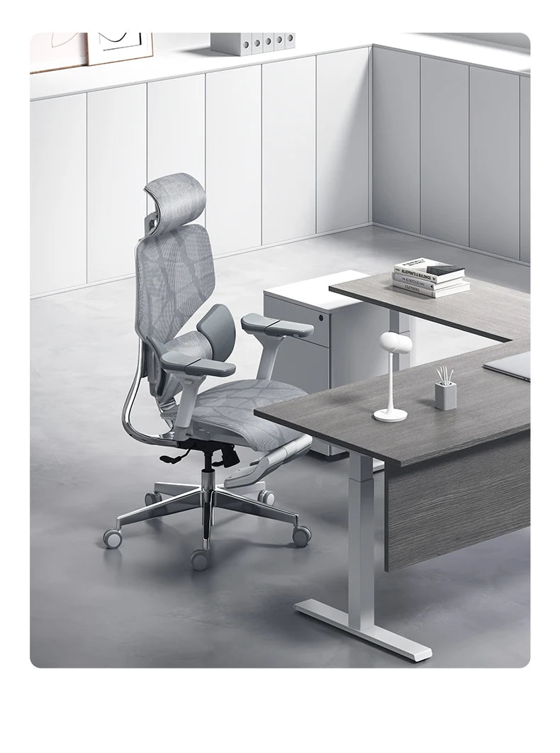 Black and white tone E3 three-zone waist protection ergonomic chair office computer chair